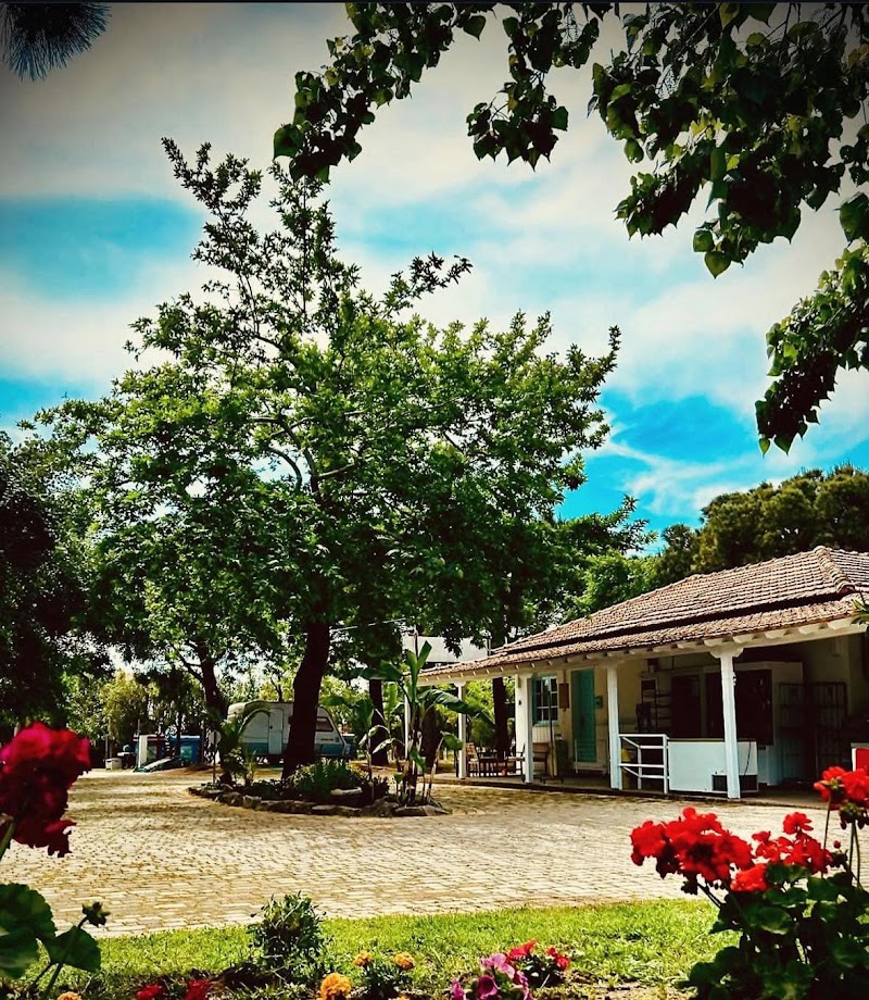 Φωτογραφία από το camping Camping Pitsoni