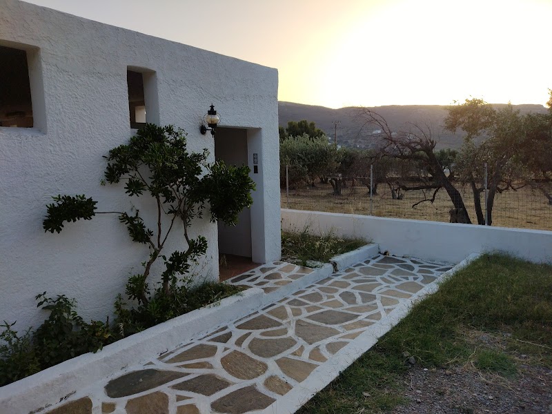 Φωτογραφία από το camping ANDROS CAMPING - ΜΠΟΥΣΗΣ ΣΤΑΜΑΤΗΣ
