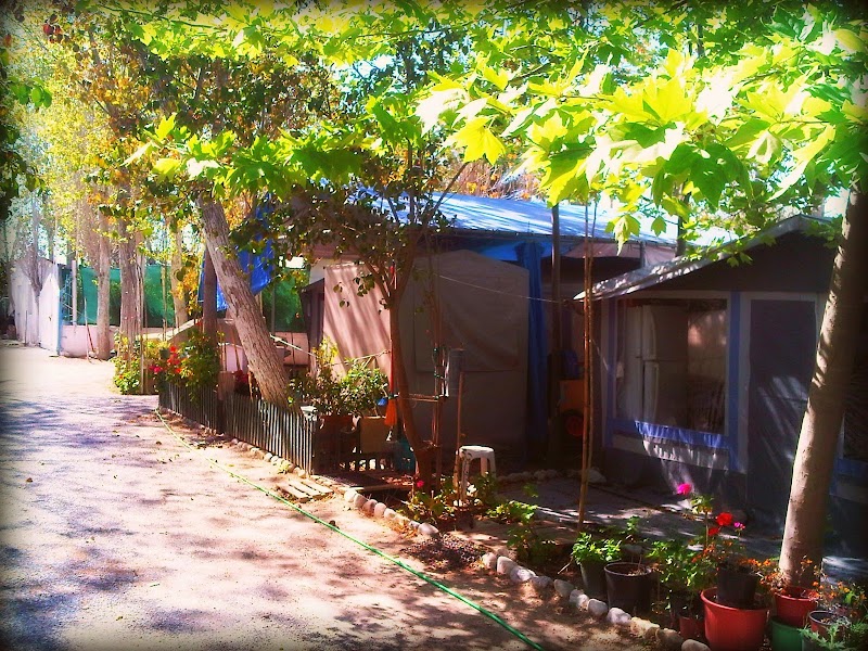Φωτογραφία από το camping Camping Astros
